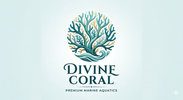 Divine Coral - Home