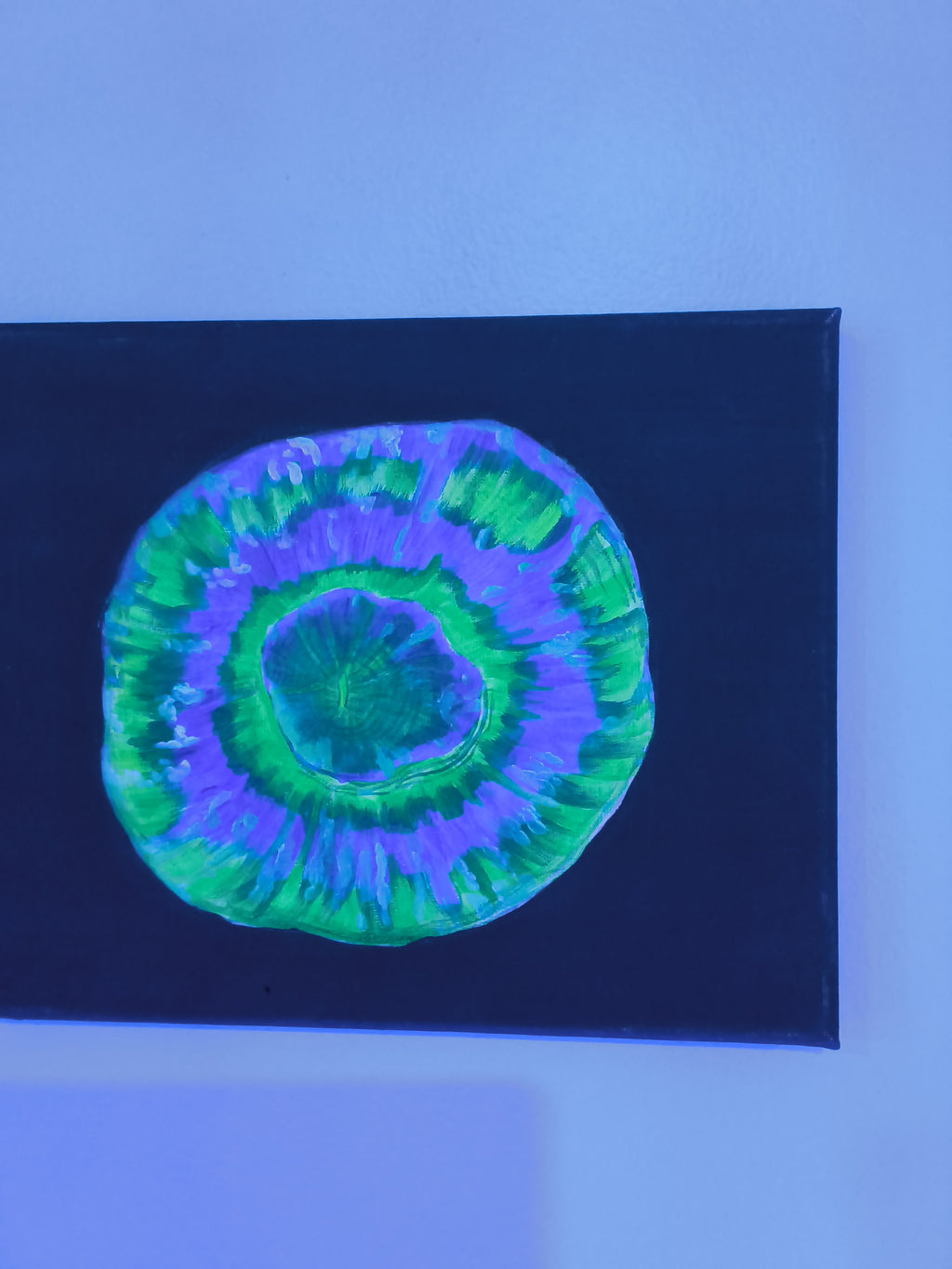 8" x 10" hand painted uv reflective canvas by killaart