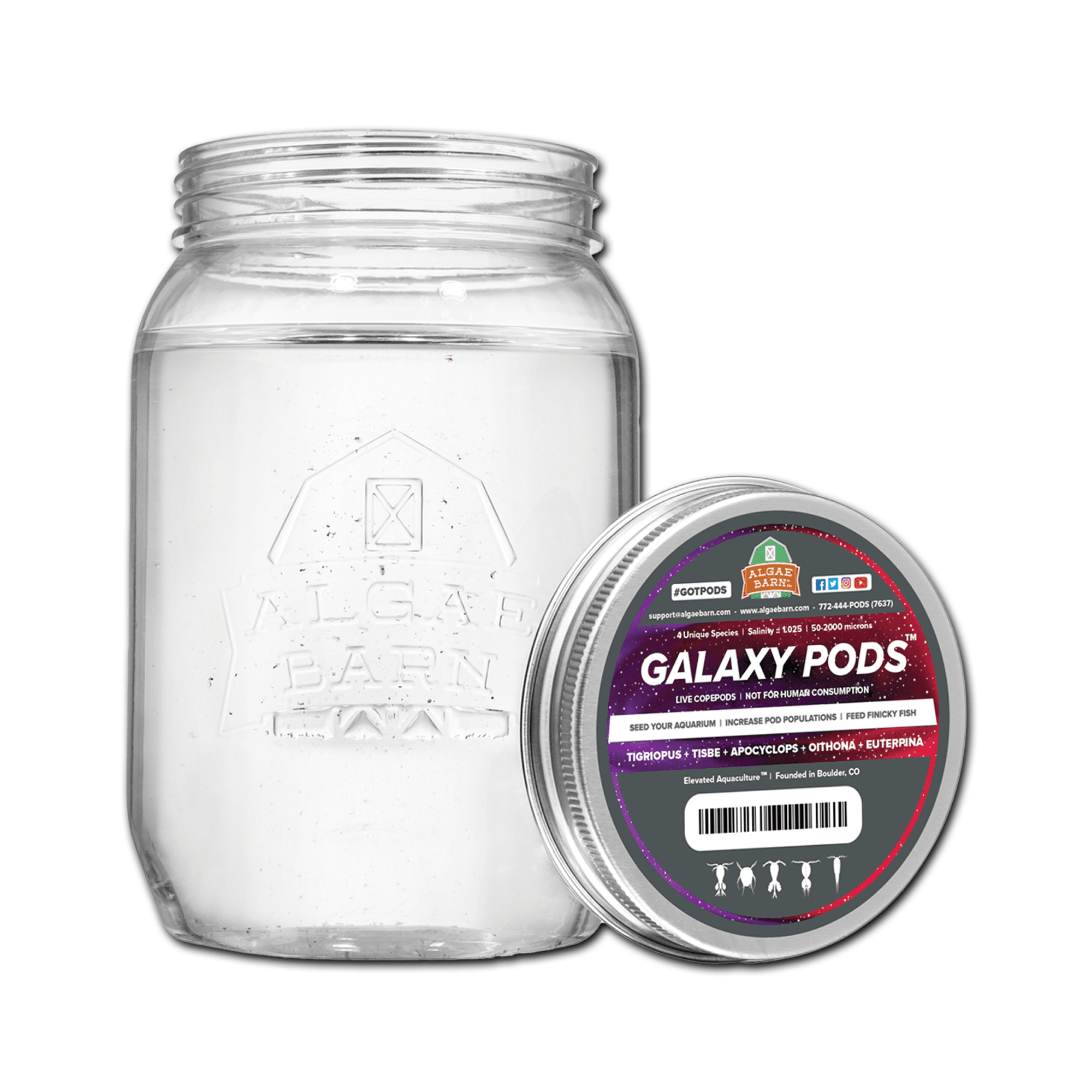 Galaxy Pods - Copepods