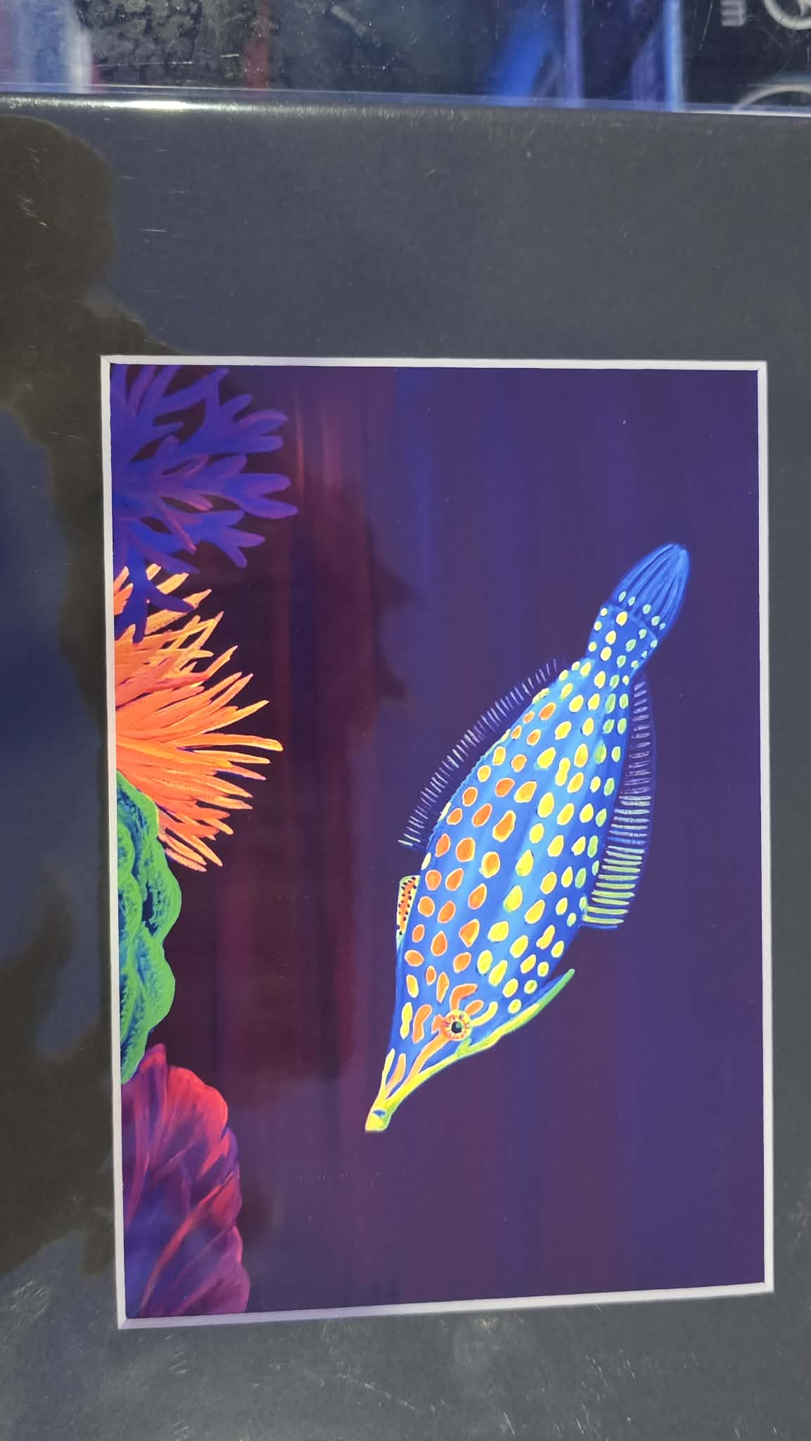 8" x 10" matted prints by KillaArts - no frames