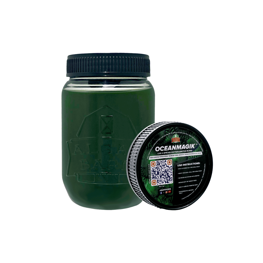 OceanMagik Phytoplankton