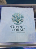 Divine Coral Extreme Clean Towels