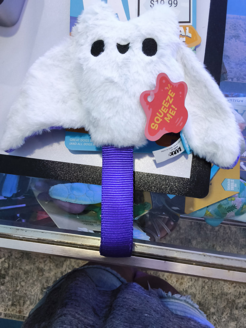 Dog Toys