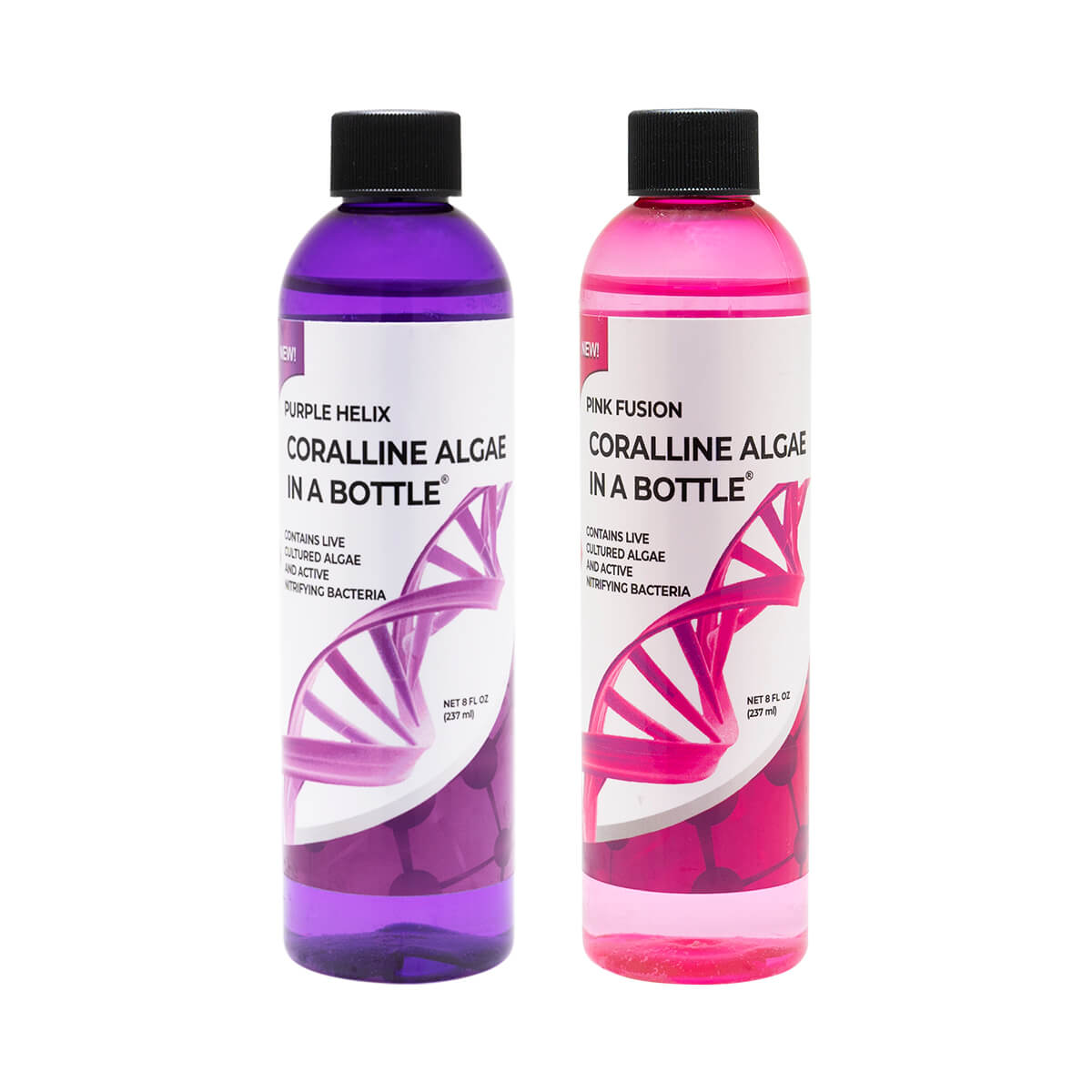 Purple Helix and Pink Fusion Coraline in a bottle